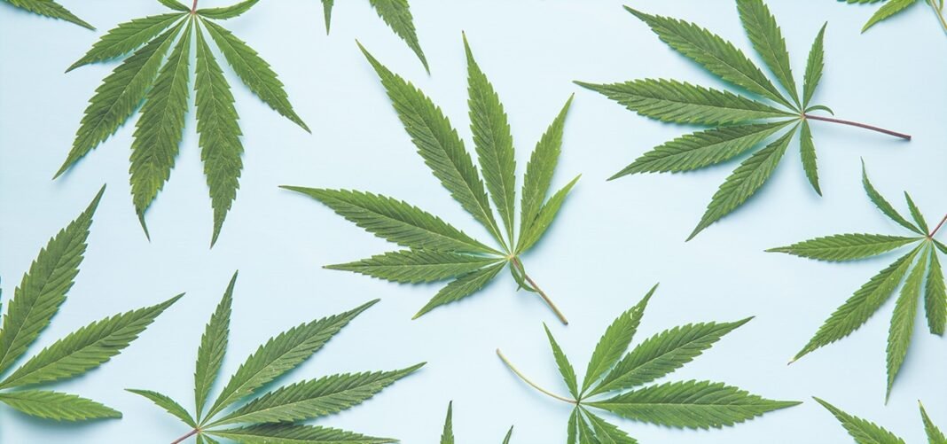 Omaha Tribe of Nebraska Passes Adult-Use and Medical Cannabis Legalization - MEDCAN24