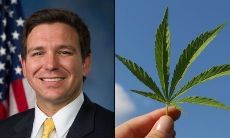 DeSantis Snubs Trump’s Pick For Florida CFO, Pointing To Past Support For Marijuana Reform