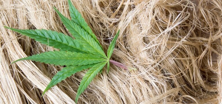 Report: Global Hemp Fiber Market to Surpass $30B by 2033