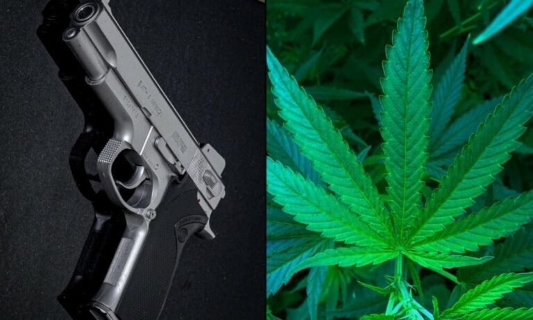 Appeals Court Vacates Conviction Over Marijuana User’s Gun Ownership, Noting Lower Court Didn’t Find His Use Caused A Threat