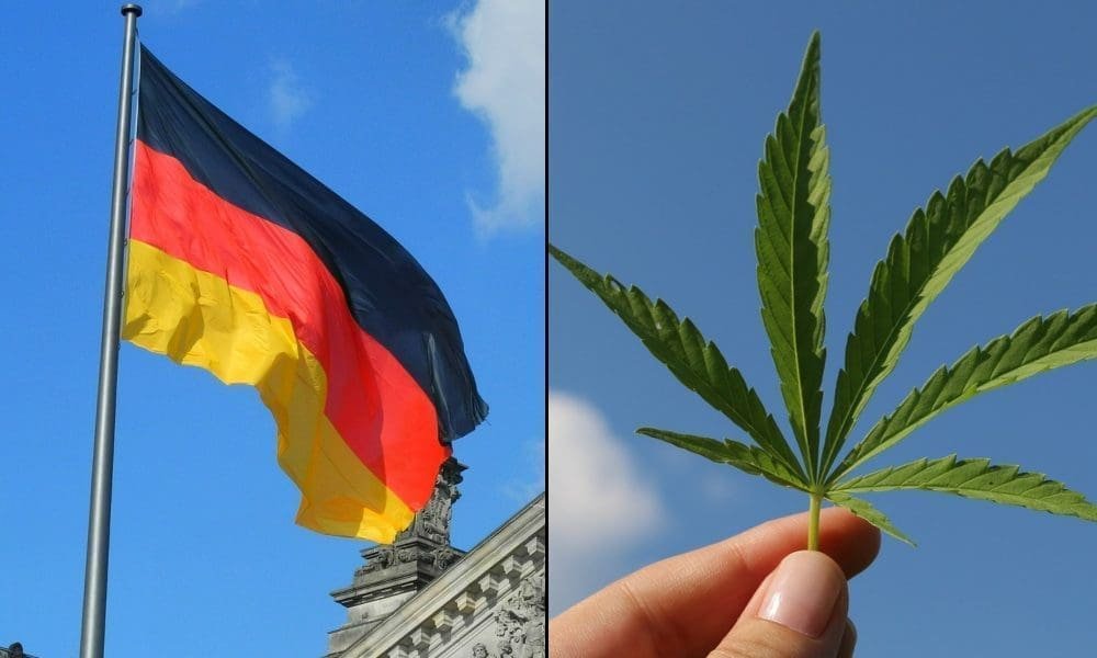 New German Medical Cannabis Restrictions Will Harm Patients And Hinder Industry Growth (Op-Ed)