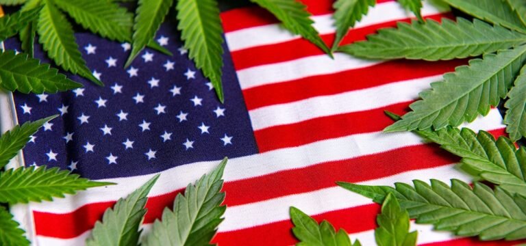 New DEA Admin Sidelines Cannabis Rescheduling Despite Earlier Promises - MEDCAN24