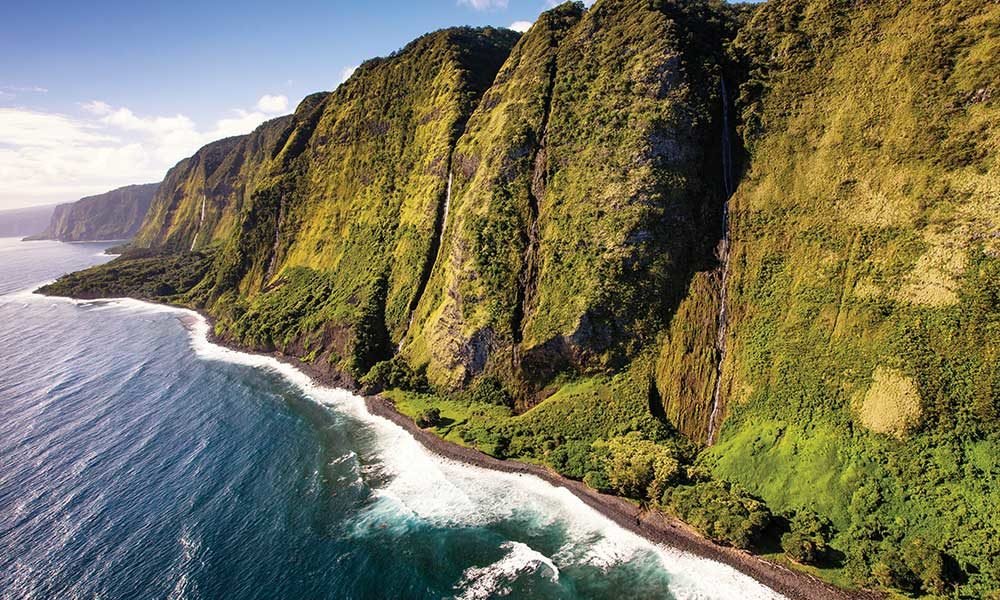Hawaii’s Finest - MEDCAN24