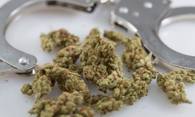 Activists Celebrate 50 Years Of Marijuana Decriminalization In California