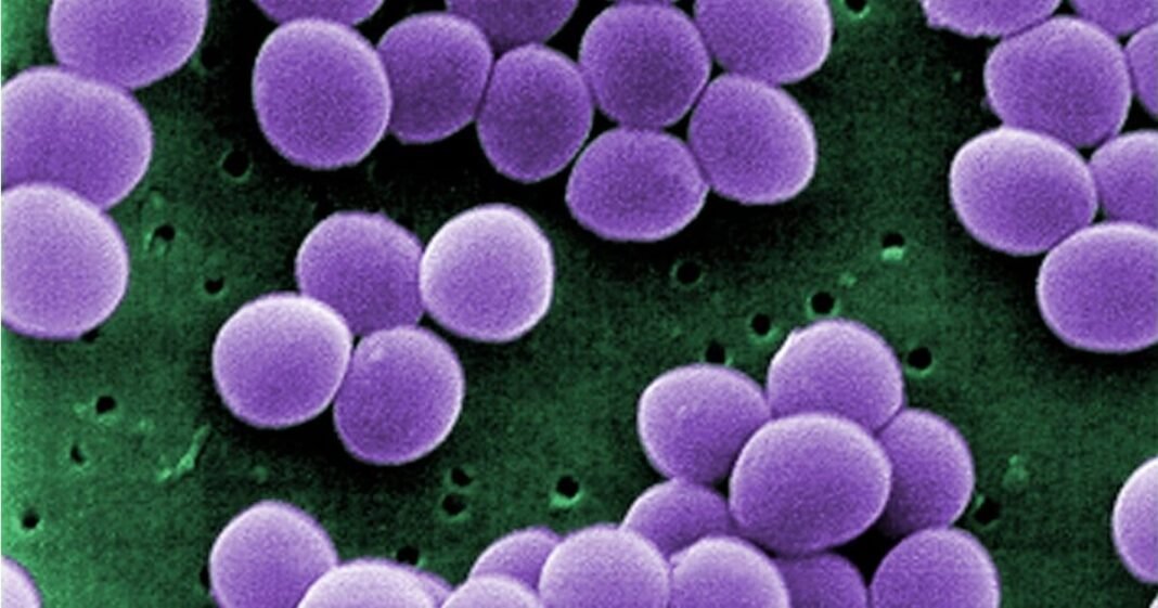 Better Infection Care With Hemp?