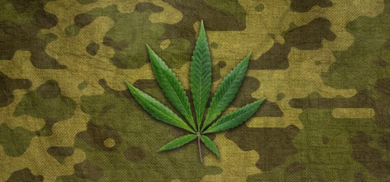 House-Approved Veterans Affairs Budget Bill Ends Prohibition on Medical Cannabis Recommendations  - MEDCAN24