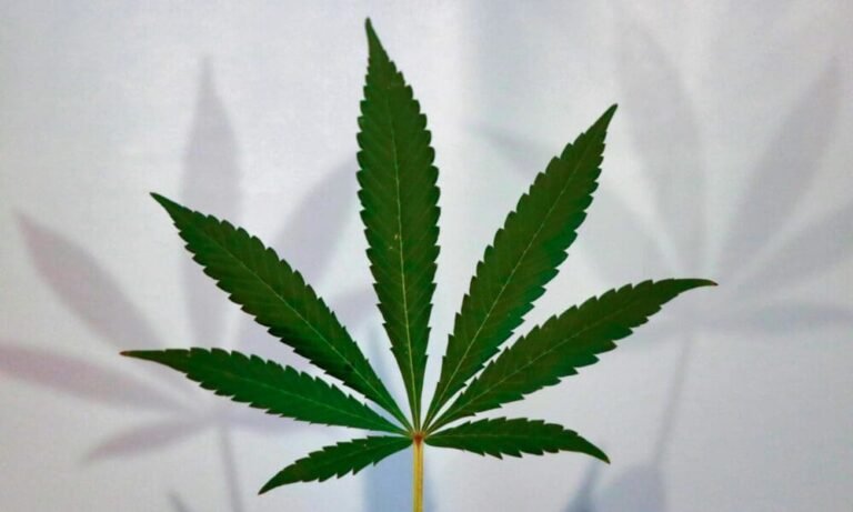 Federal Cannabis Reform Deserves Better Than Political Theater (Op-Ed)