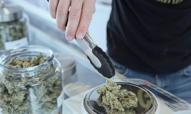 Delaware’s Recreational Marijuana Sales Will Begin Next Month, State Officials Announce