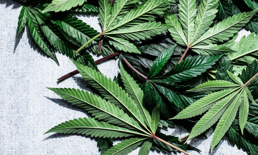 An Actually-Helpful Guide to Using Cannabis - MEDCAN24