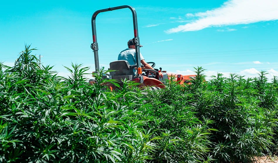 US Lawmakers Advance Bill to Ban Hemp Products With THC