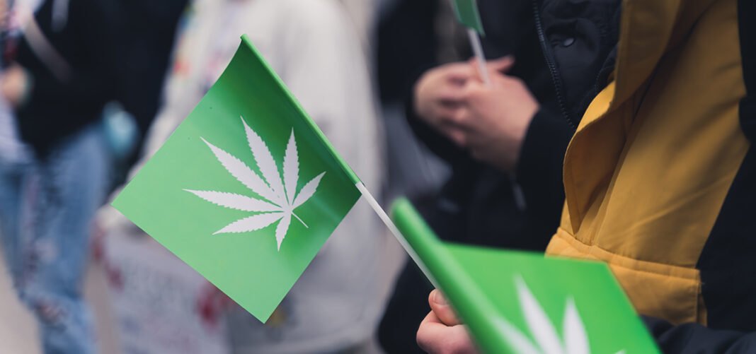 Nebraska Medical Cannabis Advocate & CBD Store Owner Running for Governor   - MEDCAN24