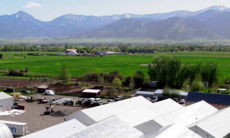 The Montana Green Pages: The Best Dispensaries in Montana - MEDCAN24