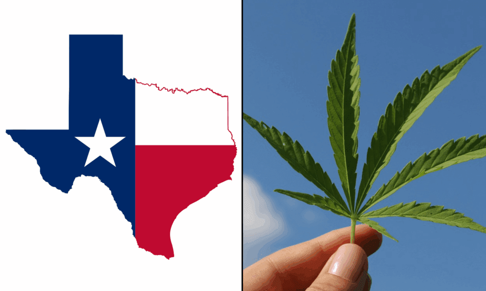 Bill To Ban Hemp Products With THC Is Filed In Texas House, As Governor Continues To Call For Regulations Instead