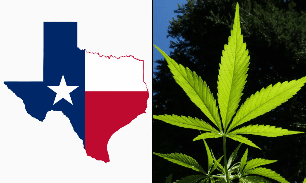 Texas Officials Take Key Step To Expand Medical Marijuana Program As Hemp Ban Bill Stalls