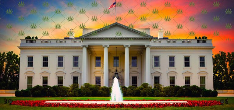 Report: Trump Told Private Donors He Is Considering Rescheduling Cannabis - MEDCAN24