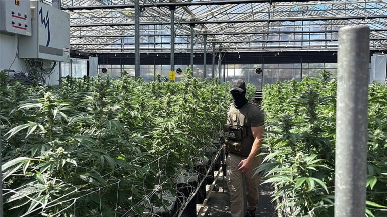 Glass House Expects Hit to Revenue, Profitability Following ICE Raids