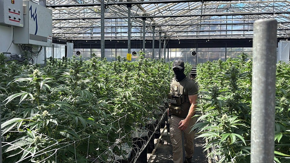 Glass House Expects Hit to Revenue, Profitability Following ICE Raids