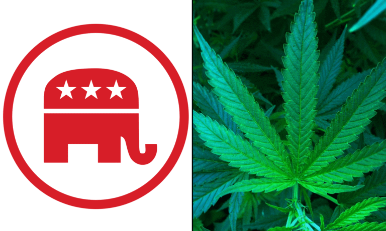 New Republican National Committee Chairman Supports Marijuana Legalization