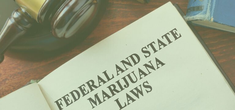 Petition Asks Trump to Remove Cannabis From Federal Drug Schedule - MEDCAN24