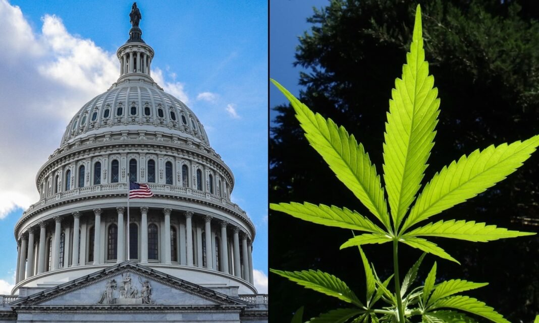 Democratic Lawmakers File Bill To Federally Legalize Marijuana As Trump Weighs Rescheduling