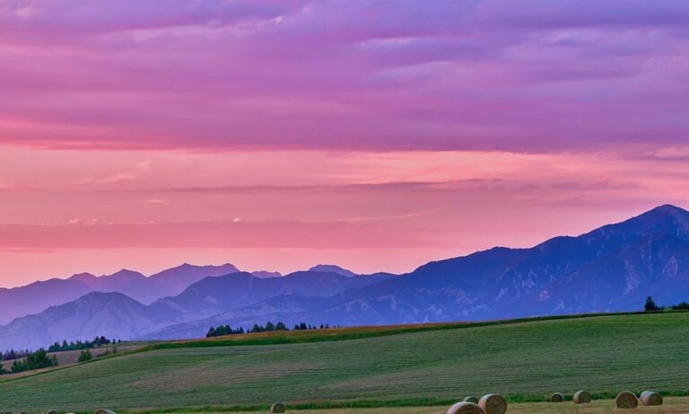 Alpenglow Cannabis Village Lights Up Bozeman, Montana - MEDCAN24