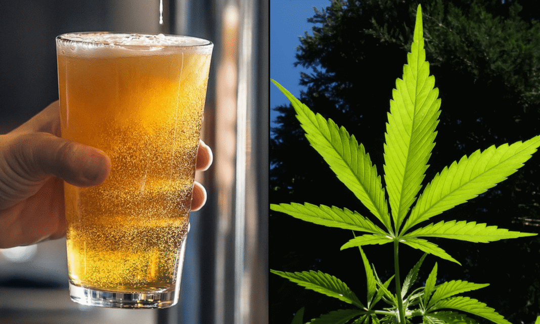 More Young Adults Are Opting For Cannabis Drinks Over Alcohol At After-Work Happy Hours, Poll Shows - MEDCAN24
