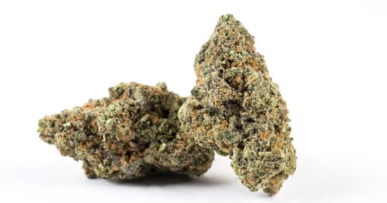 Legal Recreational Cannabis Sales Launch In Delaware