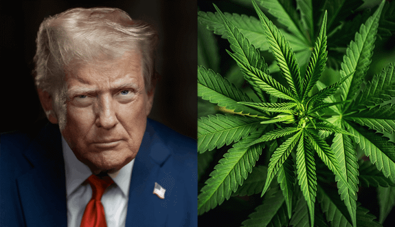 9 US Lawmakers Urge Trump to Reject Cannabis Rescheduling