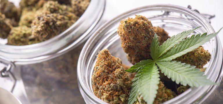 Texas Releases Rules for Expanding Medical Cannabis Dispensary Licenses - MEDCAN24