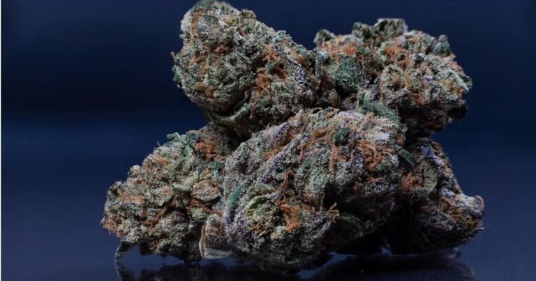 Oklahoma Medical Cannabis Patient Numbers Continue Decline
