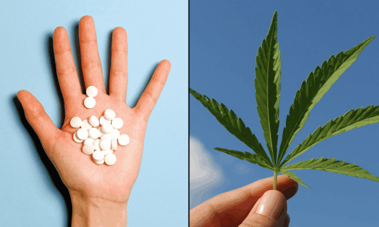 Medical Marijuana ‘Significantly’ Decreases Use Of Opioids By Chronic Pain Patients, New Study Finds - MEDCAN24