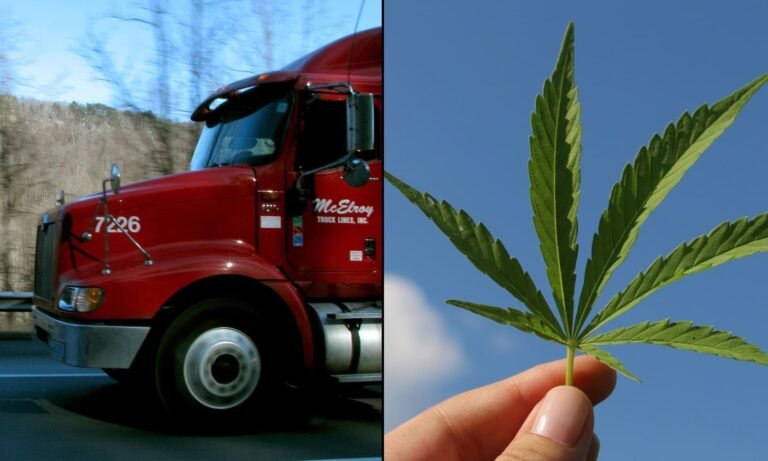 Trucking Industry Group Is ‘Deeply Concerned’ About Marijuana Rescheduling’s Potential Impact On Drug Testing For Drivers