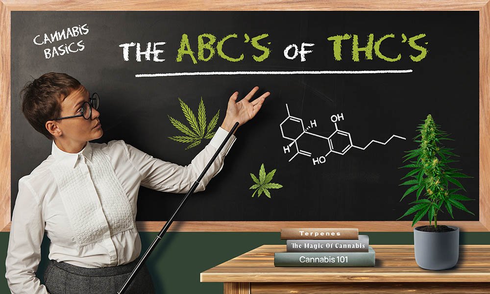 The Urb Guide to Hemp-Derived Cannabis - MEDCAN24