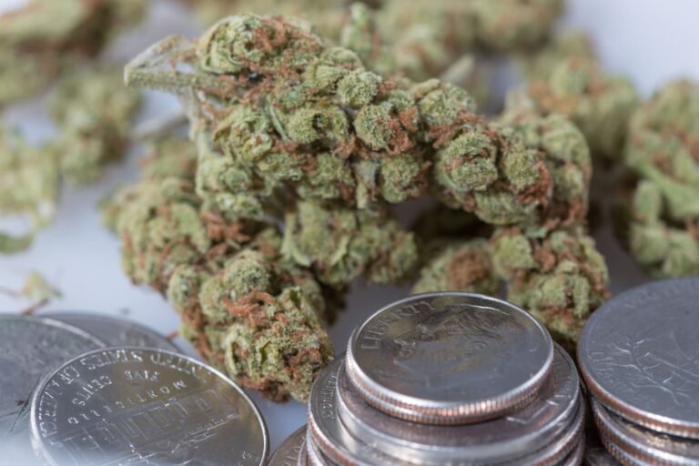 Missouri Sees Strong Marijuana Sales As Prices Remain Steady, Industry Analysts Say
