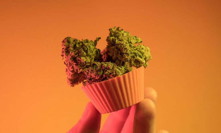 End Summer Right With an Infused Dessert - MEDCAN24