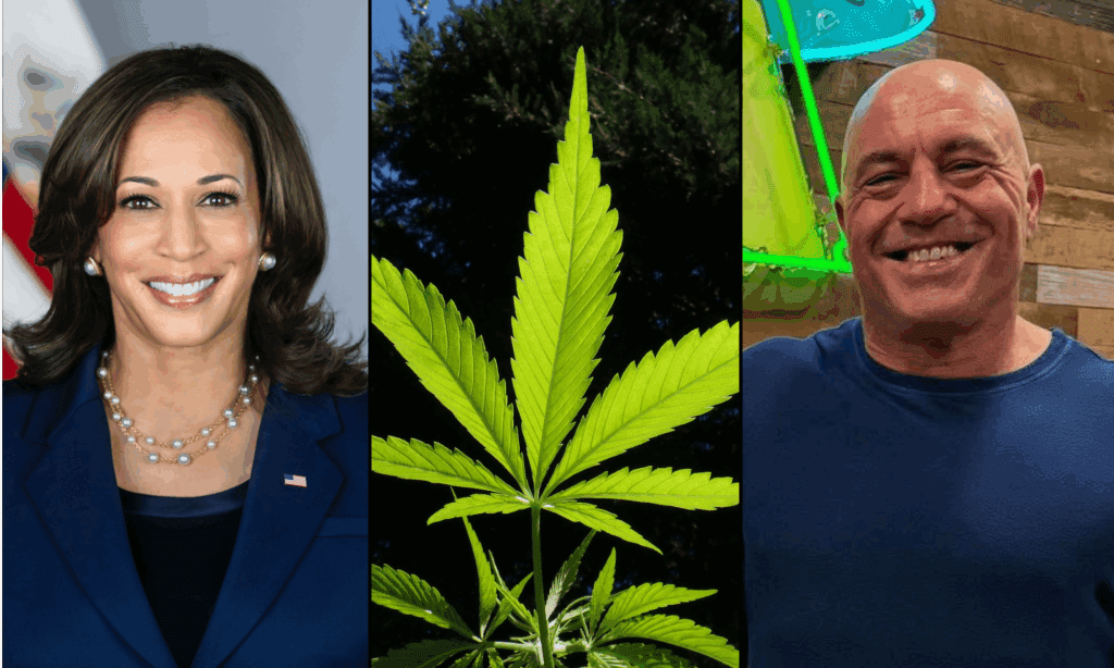 Kamala Harris Says Joe Rogan ‘Lied’ About Her Willingness To Discuss Marijuana On His Podcast
