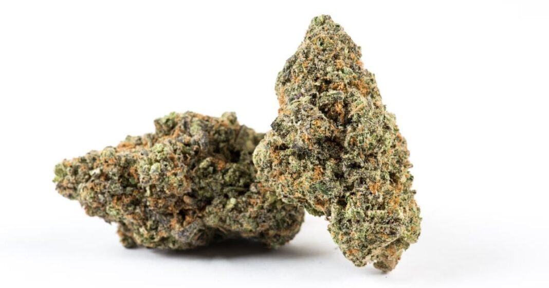 New South Wales Government Responds To Cannabis Report
