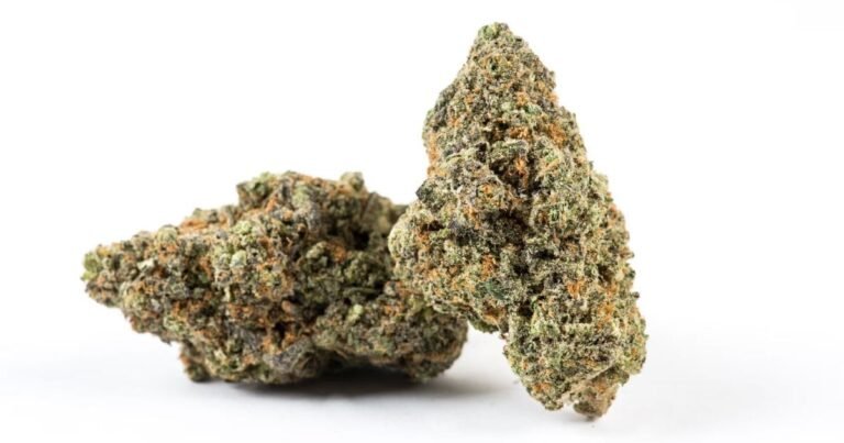 New South Wales Government Responds To Cannabis Report