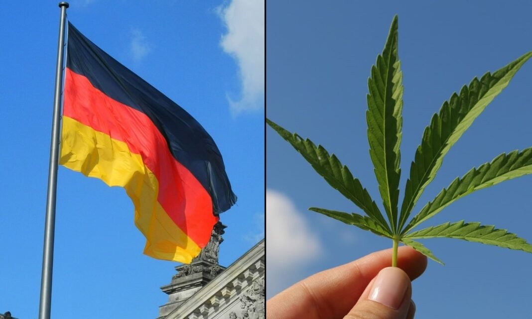 German Government Report Shows Marijuana Legalization Hasn’t Increased Youth Use Or Traffic Accidents