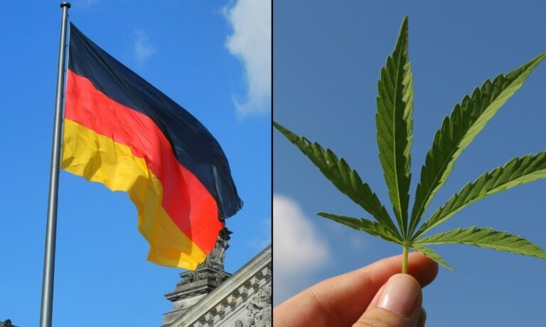 German Government Report Shows Marijuana Legalization Hasn’t Increased Youth Use Or Traffic Accidents