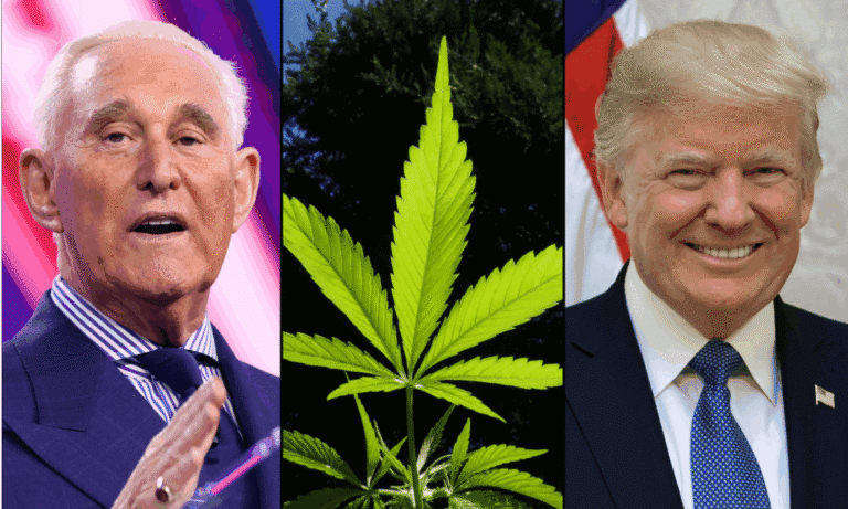 Trump Can Outdo Democrats By Rescheduling Marijuana When They Failed To Do So, Roger Stone Says
