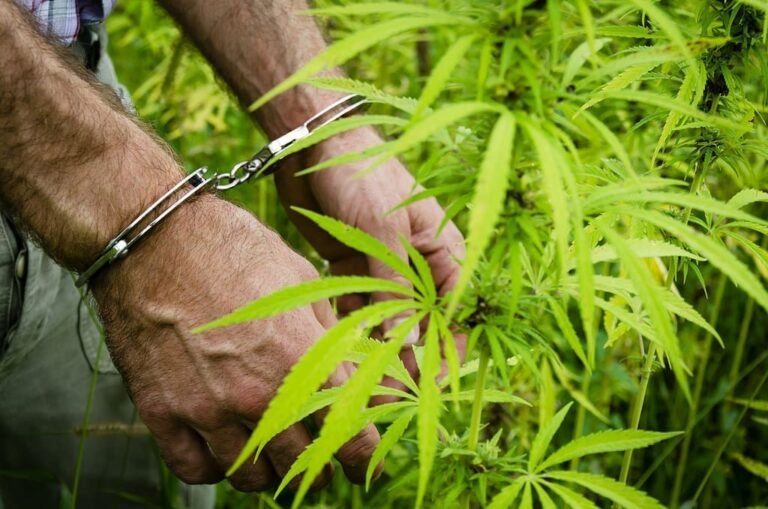 Congressional GOP Moves To Repeal Marijuana Expungements Law In Washington, D.C. To Fulfill Trump Goal Of ‘Restoring Law And Order’