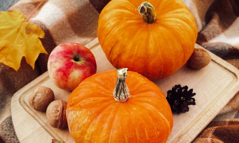 Everclear-Infused Recipes for Fall - MEDCAN24