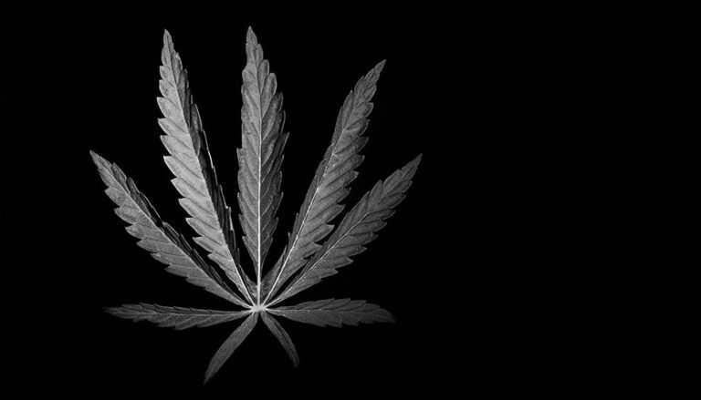 Massachusetts AG Approves Ballot Petition to End $1.6B Adult-Use Cannabis Market