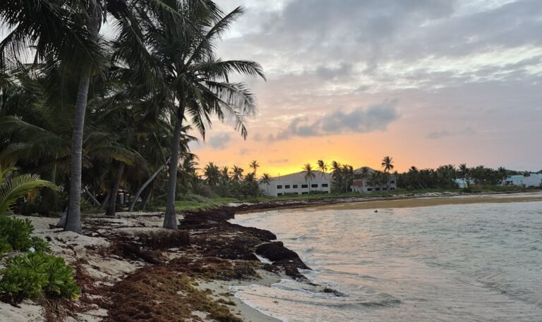 Caribbean Cannabis: A Local Look at the U.S. Virgin Islands