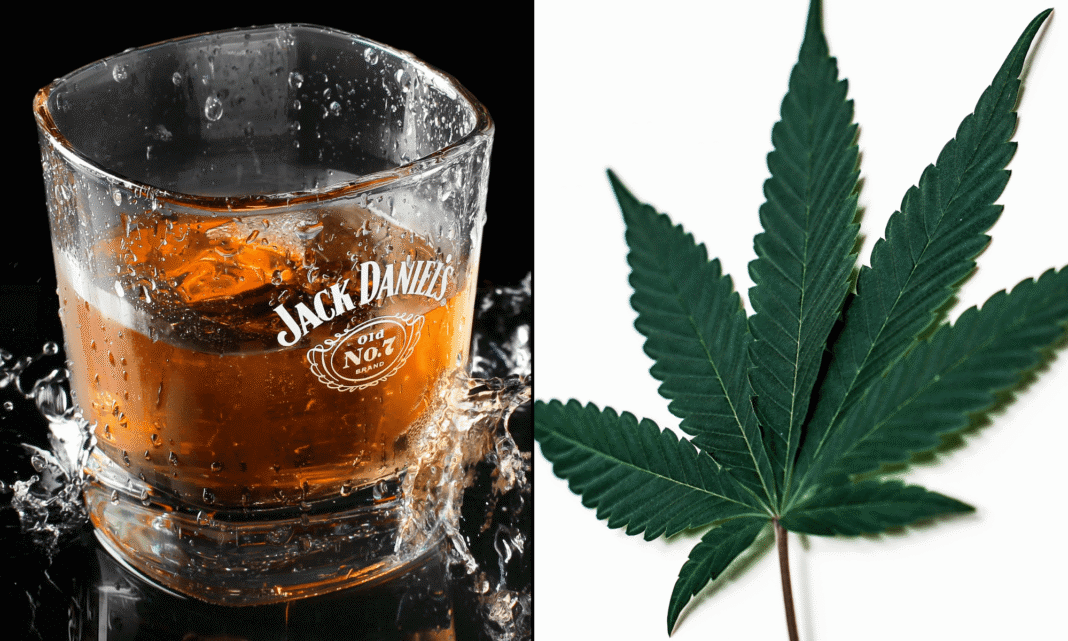 Marijuana May Help Heavy Drinkers Cut Back On Alcohol, New Federally Funded Study Finds - MEDCAN24