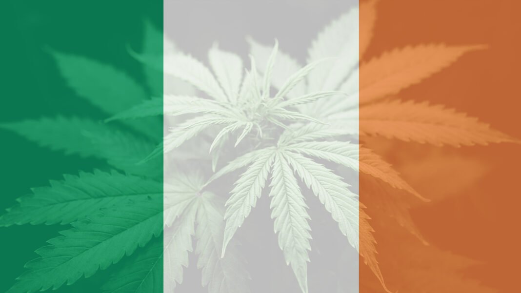 Dr. Hemp Me's complete 2025 guide to CBD oil in Ireland