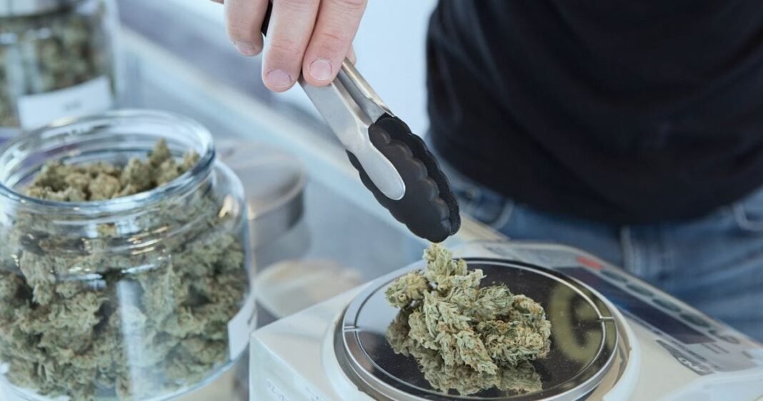 NSW Health Bodies Urge Medical Cannabis Operator Crackdown