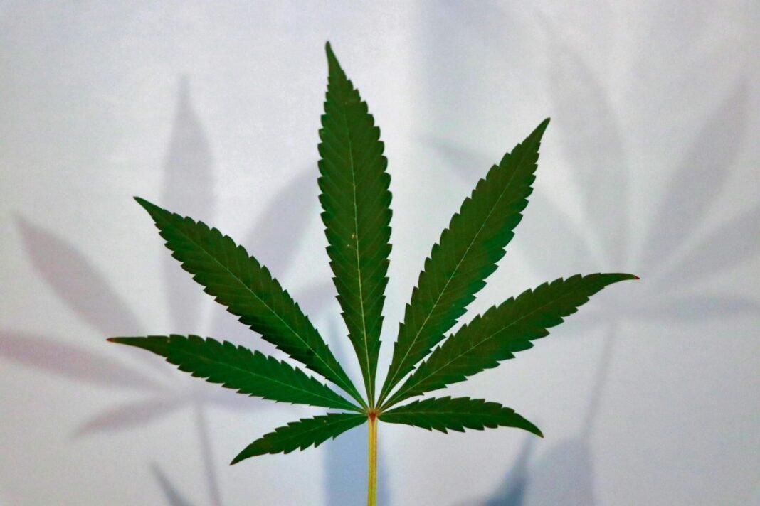 Pennsylvania Senators Will Vote On Bipartisan Cannabis Bill To Create New Regulatory Body Next Week