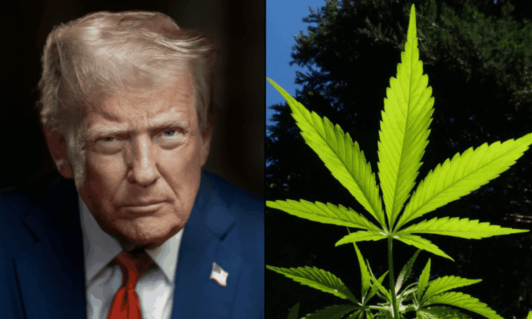 Trump Taps Marijuana Industry ‘Visionary’ As Special Envoy To Iraq